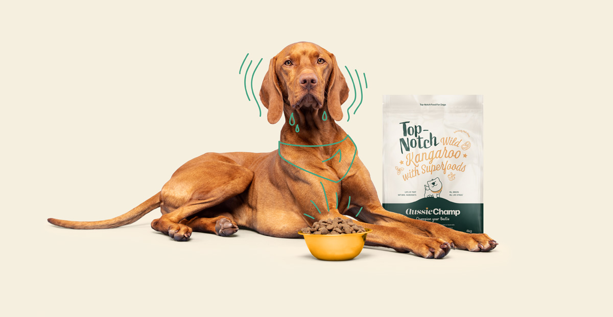 Aussie Champ: Aussie Champ pack, Zippy mascot, natural textures