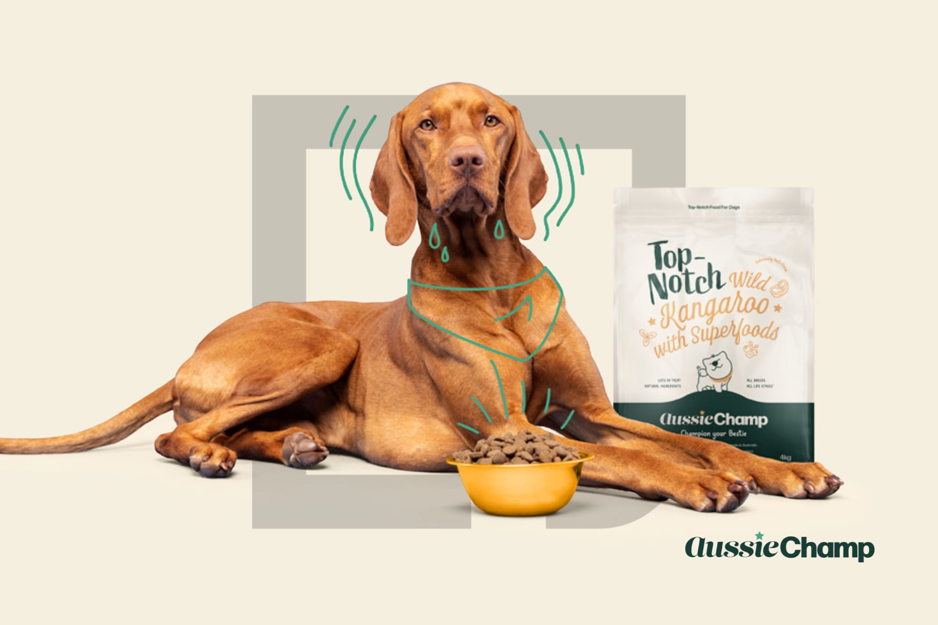 Aussie Champ: Champion Your Bestie™: an Aussie pet brand built to scale.