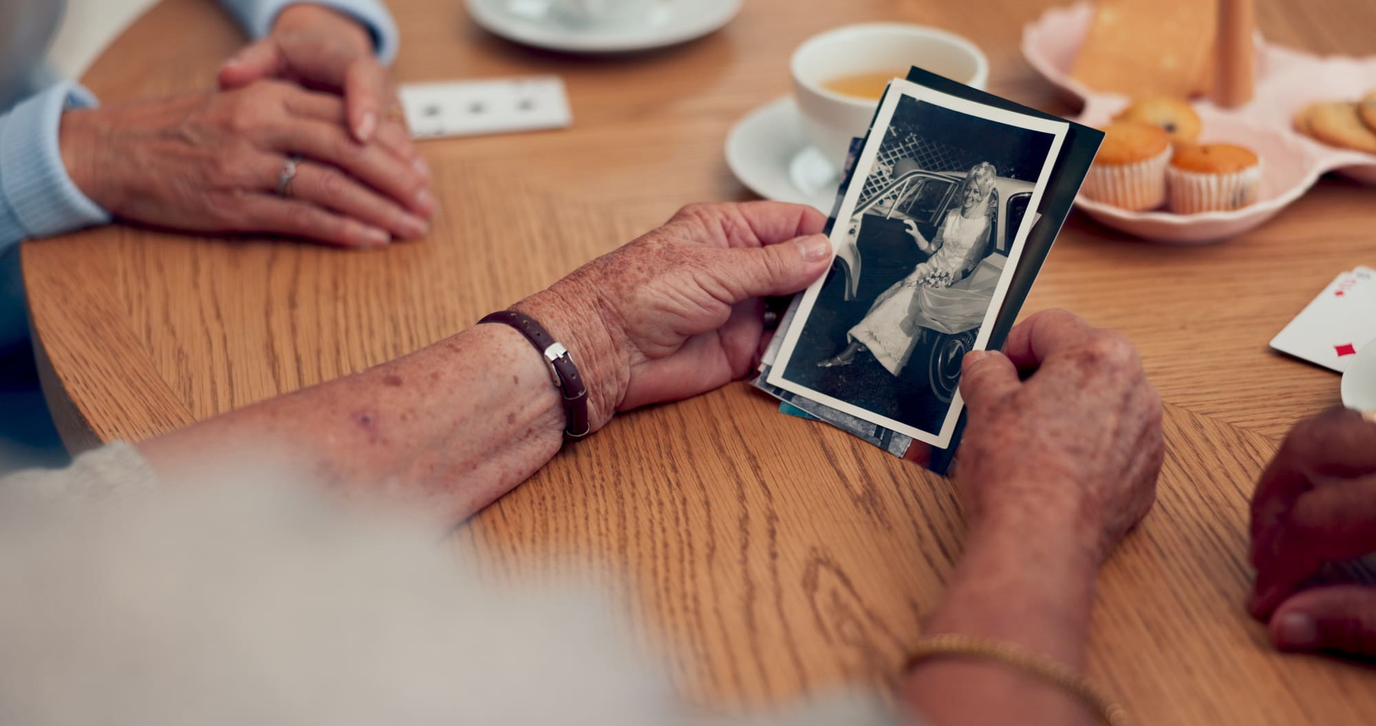 Everlife: Everlife Continuum™, Vault · Stories · Companion · Legacy