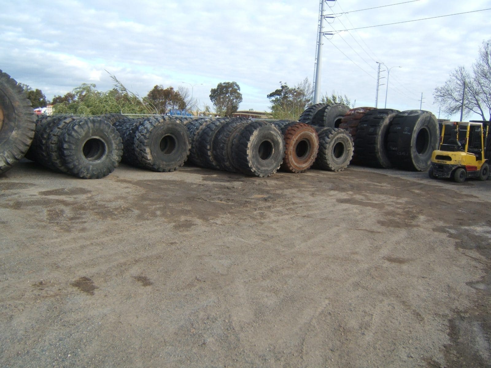 A real business, trading: Brand and platform, grounded in a working yard.