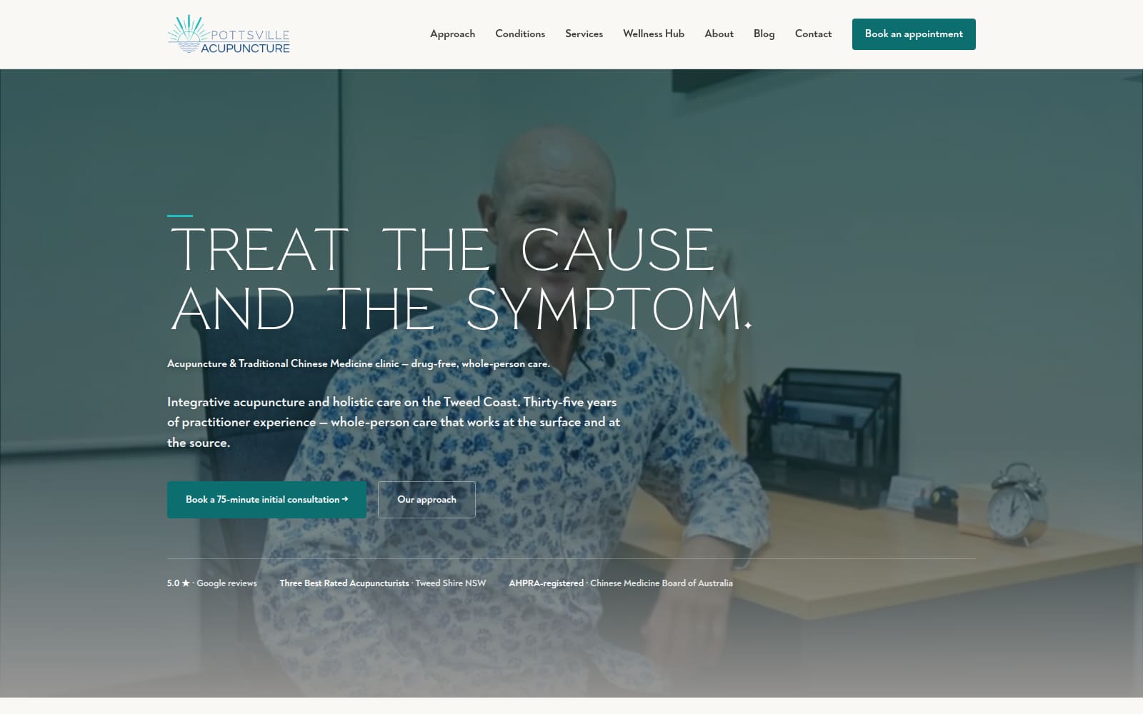 The Pottsville Acupuncture homepage today