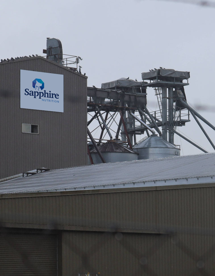 Sapphire Nutrition: R&D capability, Facilities and science