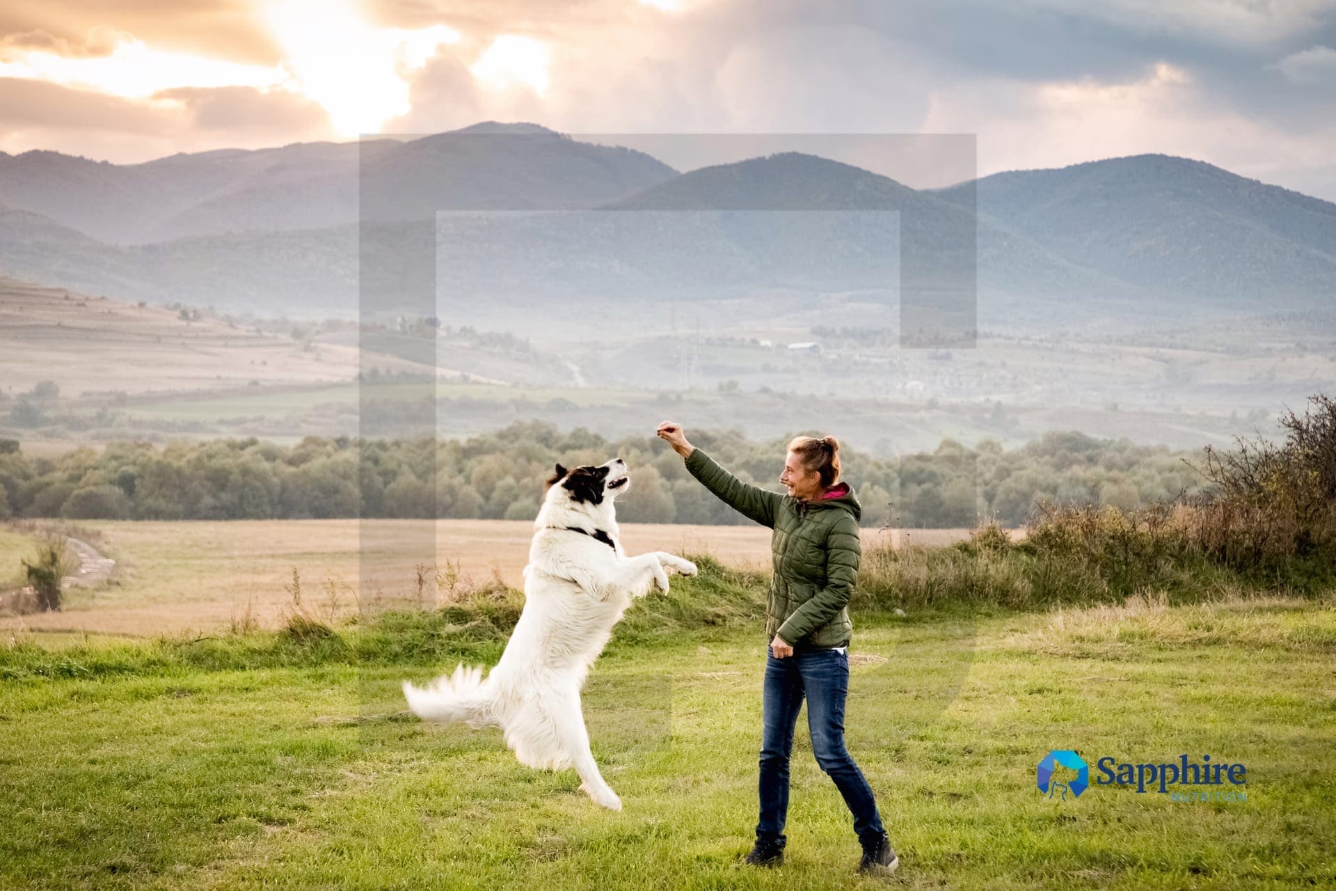 Sapphire Nutrition: From quiet manufacturer to the innovation partner that builds other brands.