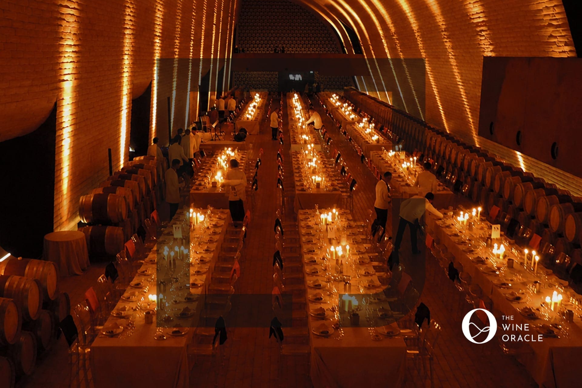 The Wine Oracle: Story, science and soul. Wine education, made a global brand.