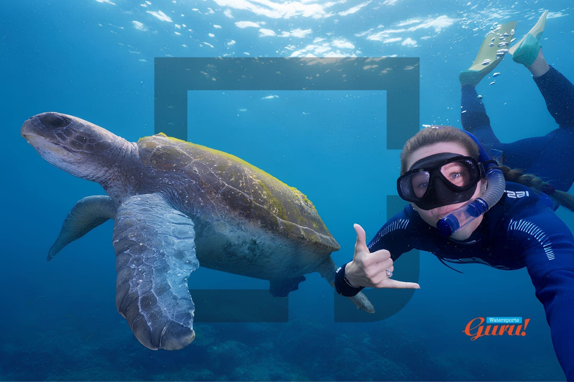 Watersports Guru: An adventure brand, revitalised through story and system.